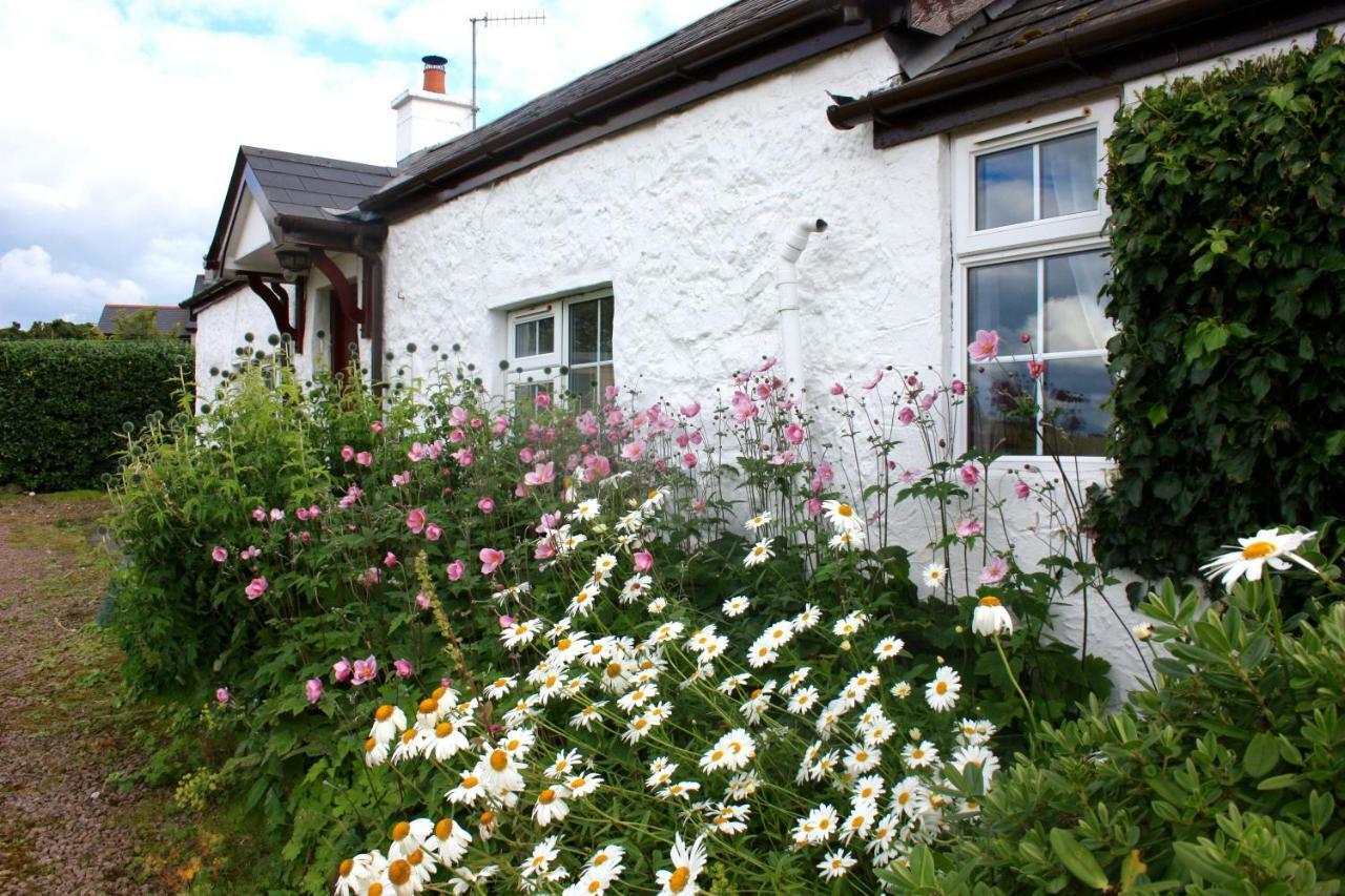 באליקאסל Tornaroan Cottage מראה חיצוני תמונה